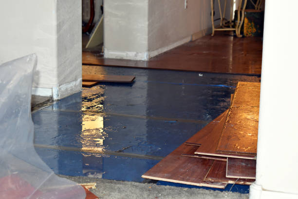 Professional Water Extraction technician working in Langsville, OH